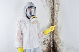 Best Mold Removal for HVAC Installations  in Elkhart, TX